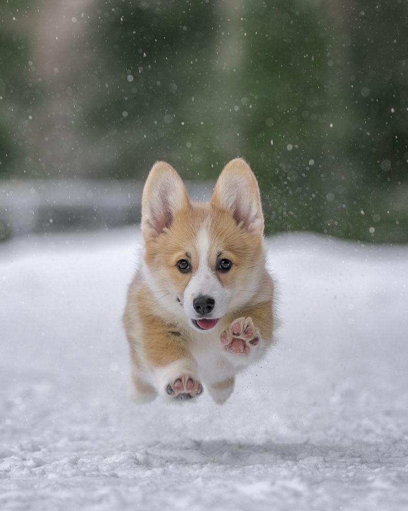 Photograph by Юлия Чайкина