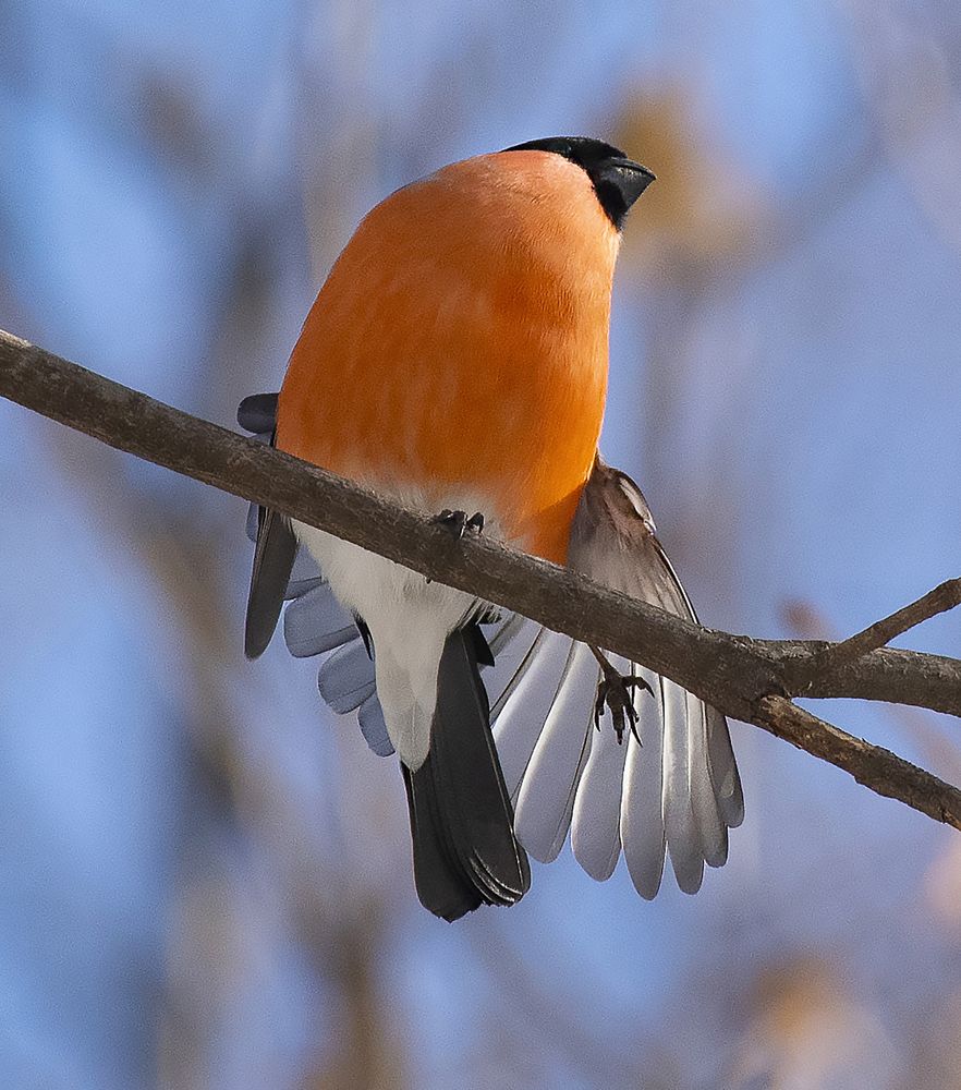 Photograph by Gurdina Lena