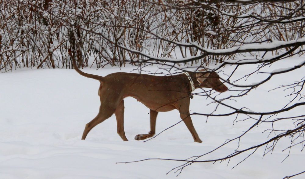 Photograph by Жанна Нечаева