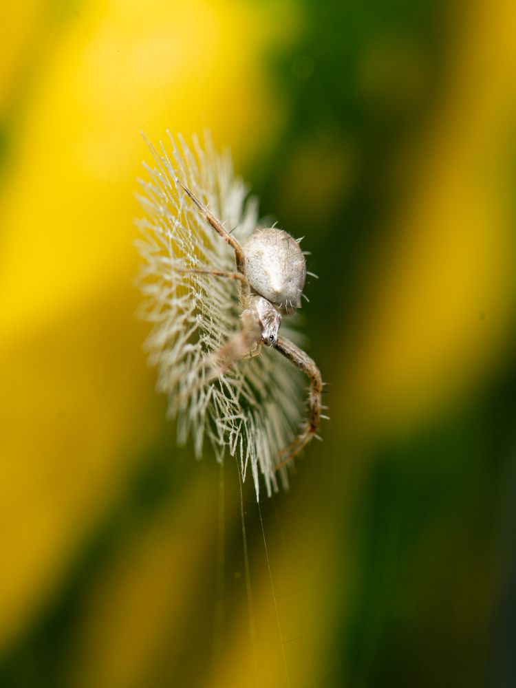 Photograph by Ankan Das