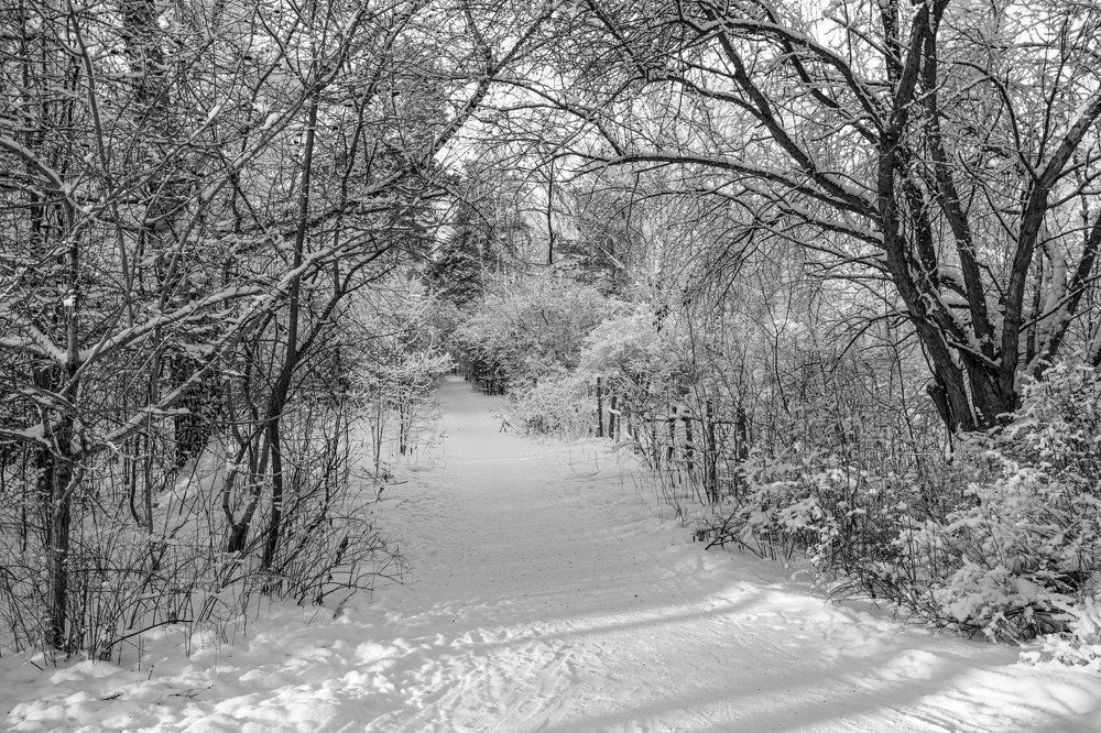 Фотография автора Илья Берт