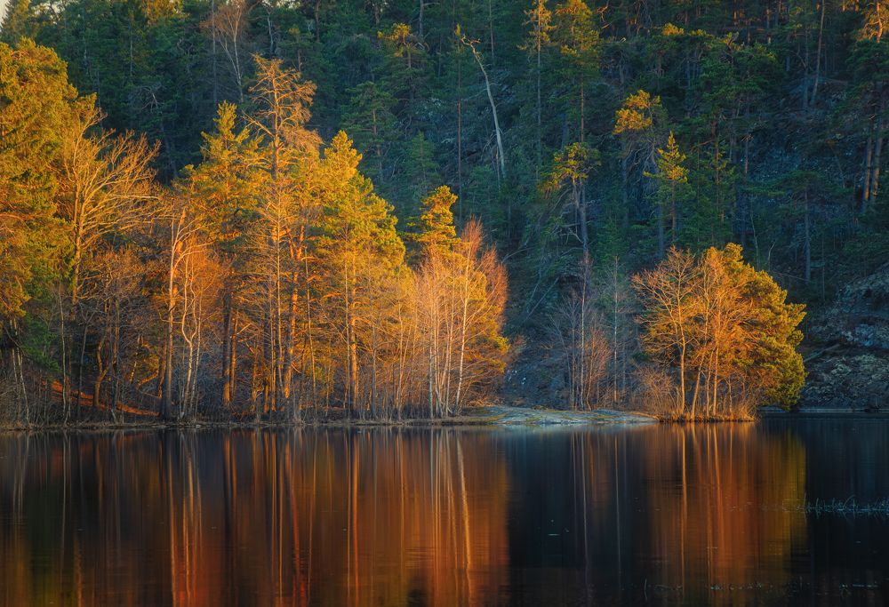 Photograph by Ожерельев Андрей