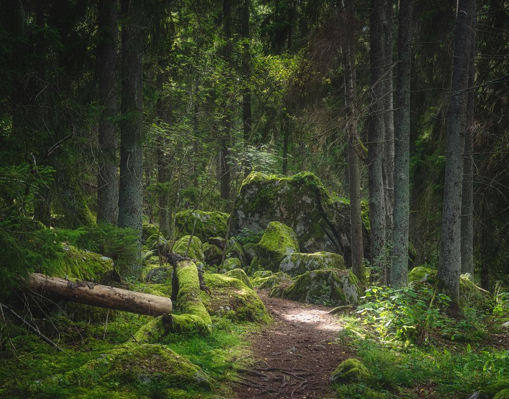 Photograph by Ожерельев Андрей