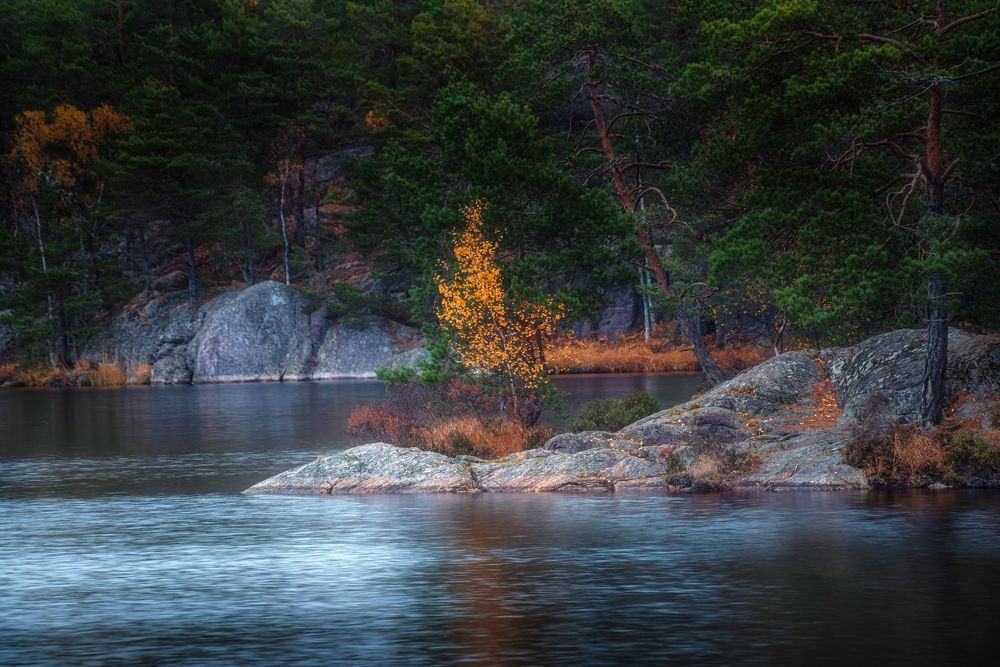 Photograph by Ожерельев Андрей