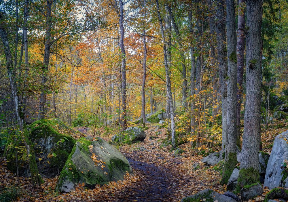 Photograph by Ожерельев Андрей