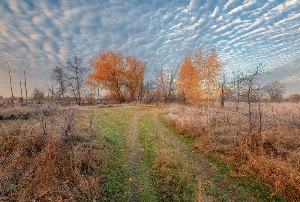 Photograph by Ожерельев Андрей