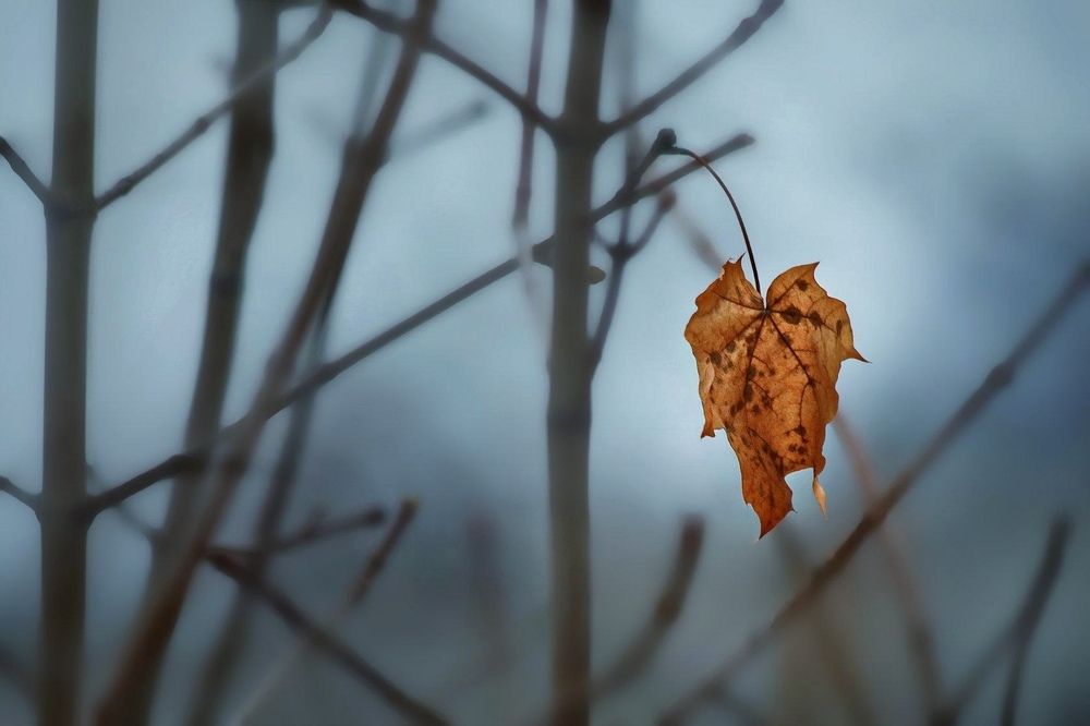Photograph by Татьяна Бравая