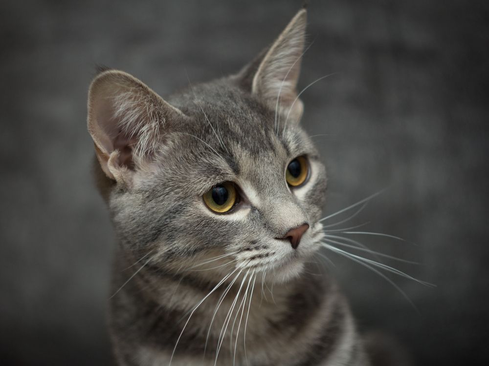 Photograph by Сергей Алексеев