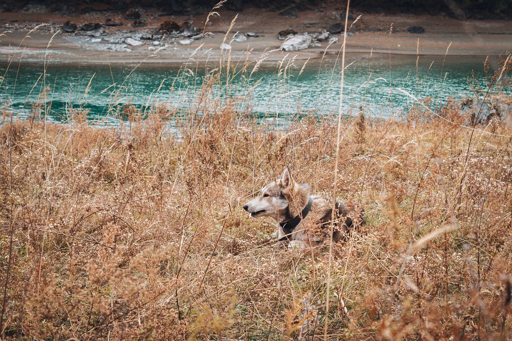 Photograph by Антон Украинских