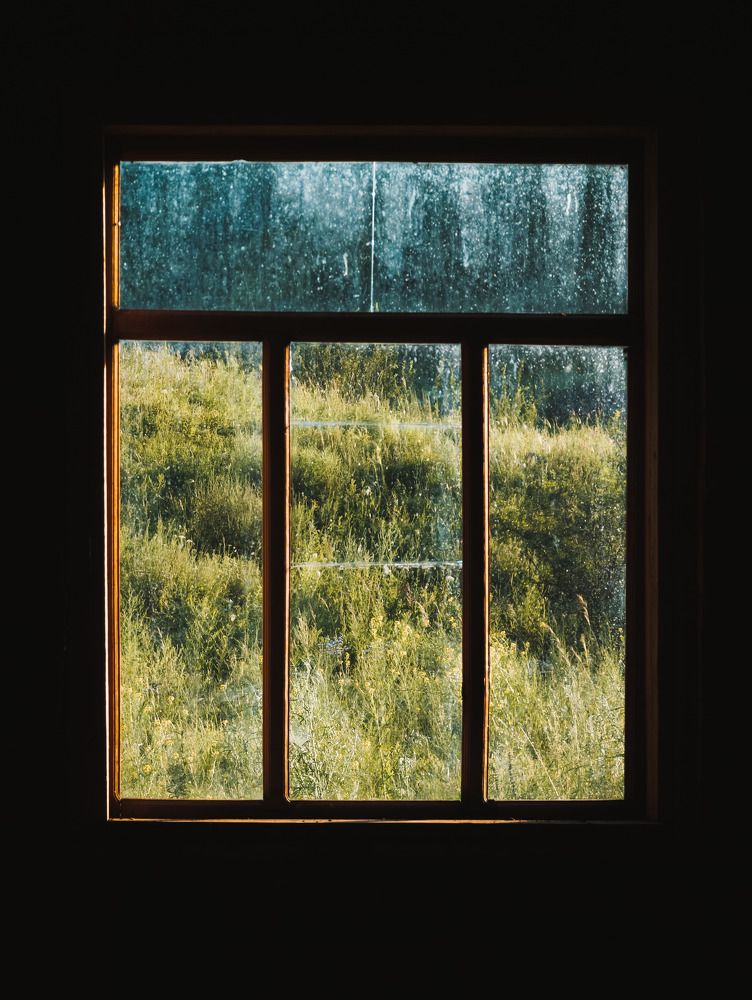 Photograph by Андрей Летов