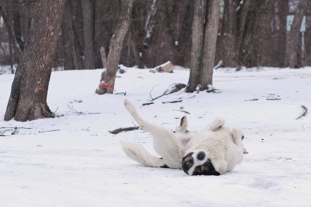 Photograph by Елена Ибрагимова