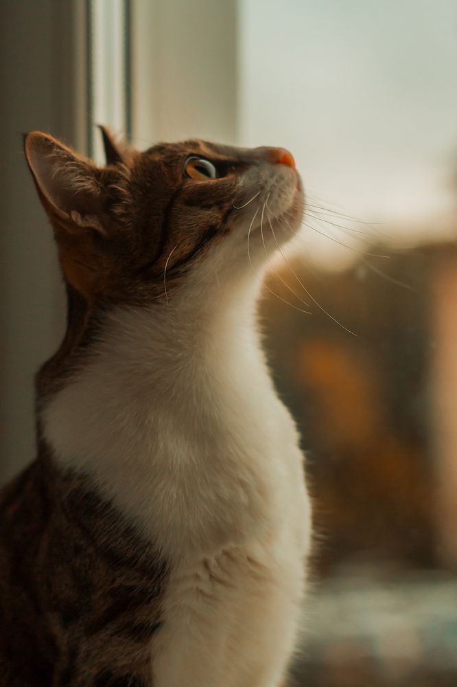 Photograph by Антон Украинских