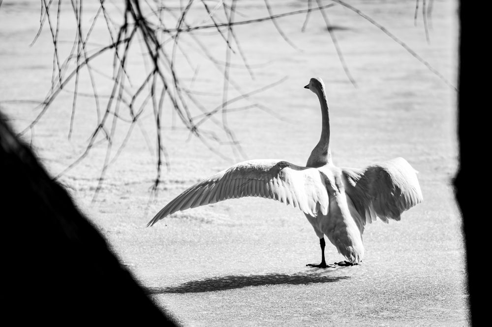 Photograph by Елена Берсенёва