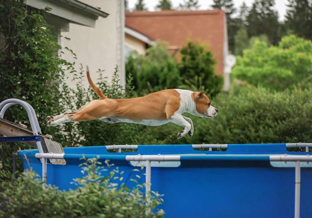 Photograph by Юлия Чайкина