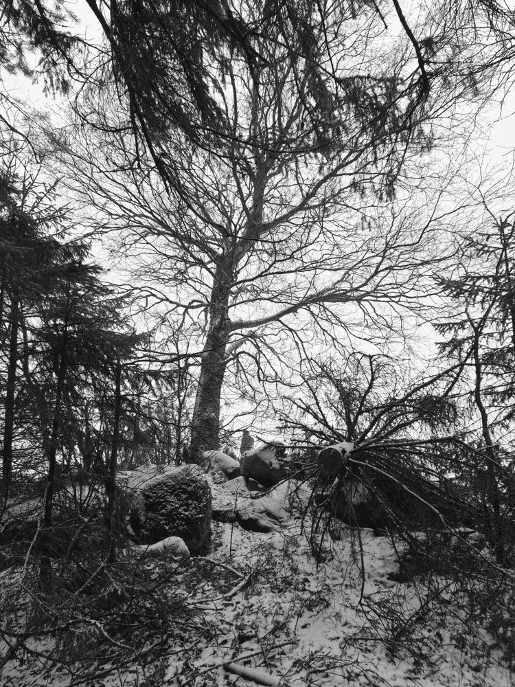 Фотография автора Колосова Елена