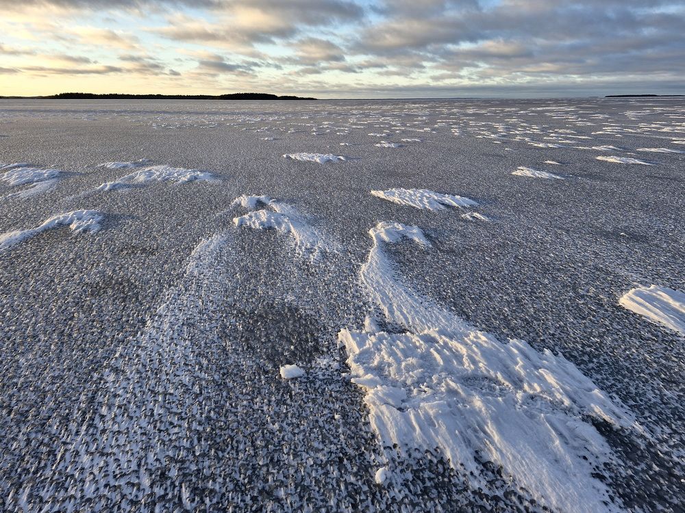 Фотография автора Колосова Елена