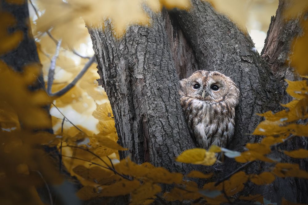 Photograph by Поляков Михаил