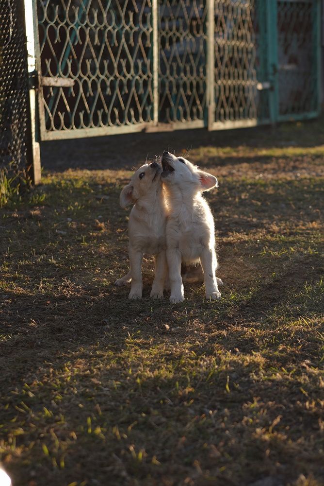 Photograph by Анна Колесниченко