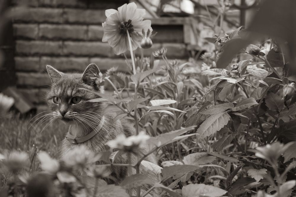 От меня не спрячешься!