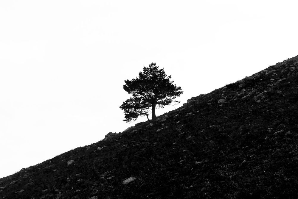 Photograph by Наталья Коржова