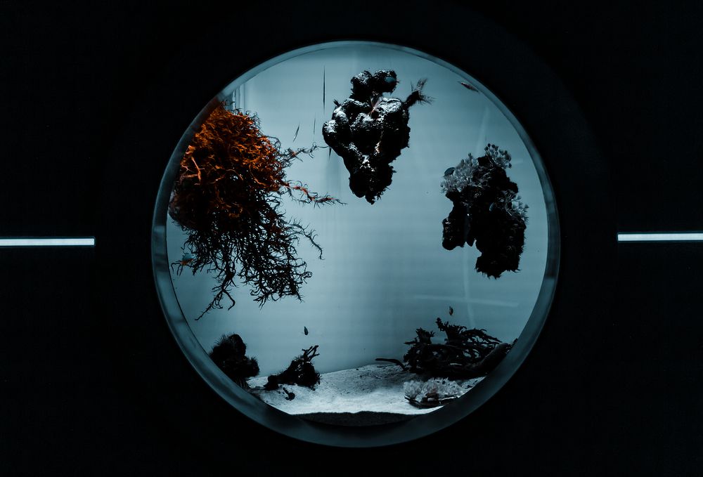 Photograph by Антон Украинских