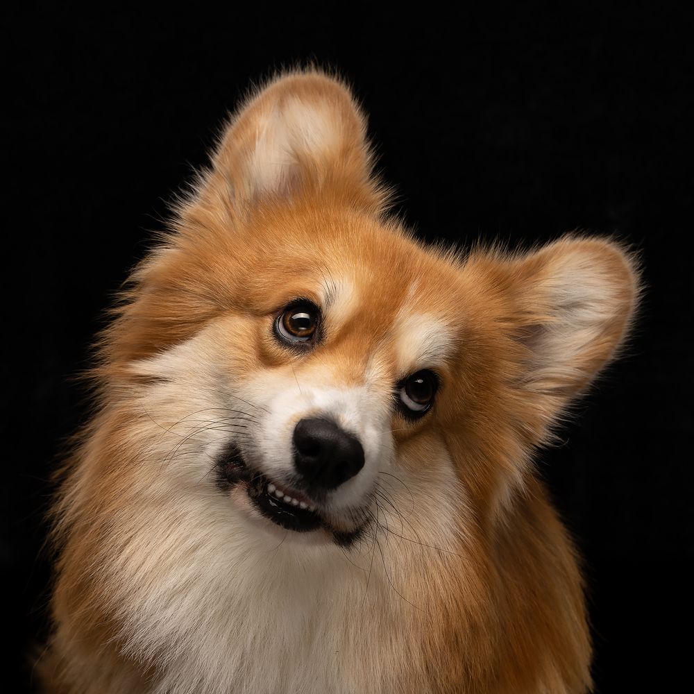 Фотография автора Роман Москвичев