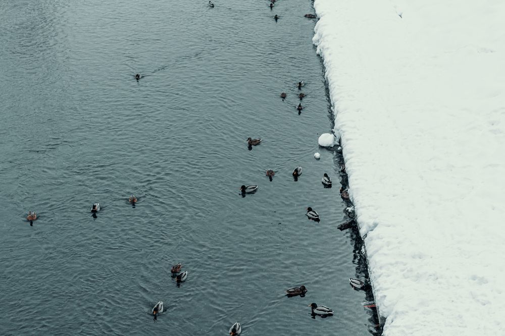 Photograph by Антон Украинских