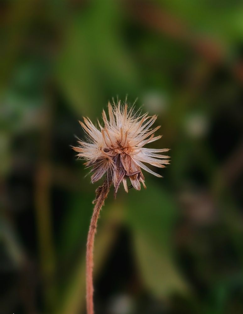 Фотография автора Pavitra Vyas