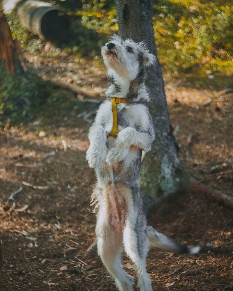 Photograph by Татьяна Иванеева