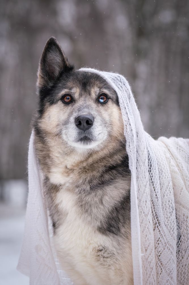 Photograph by Dina Damotseva