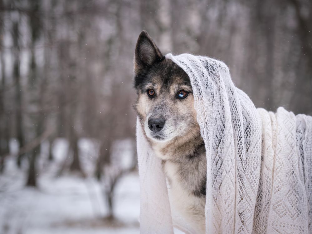 Photograph by Dina Damotseva