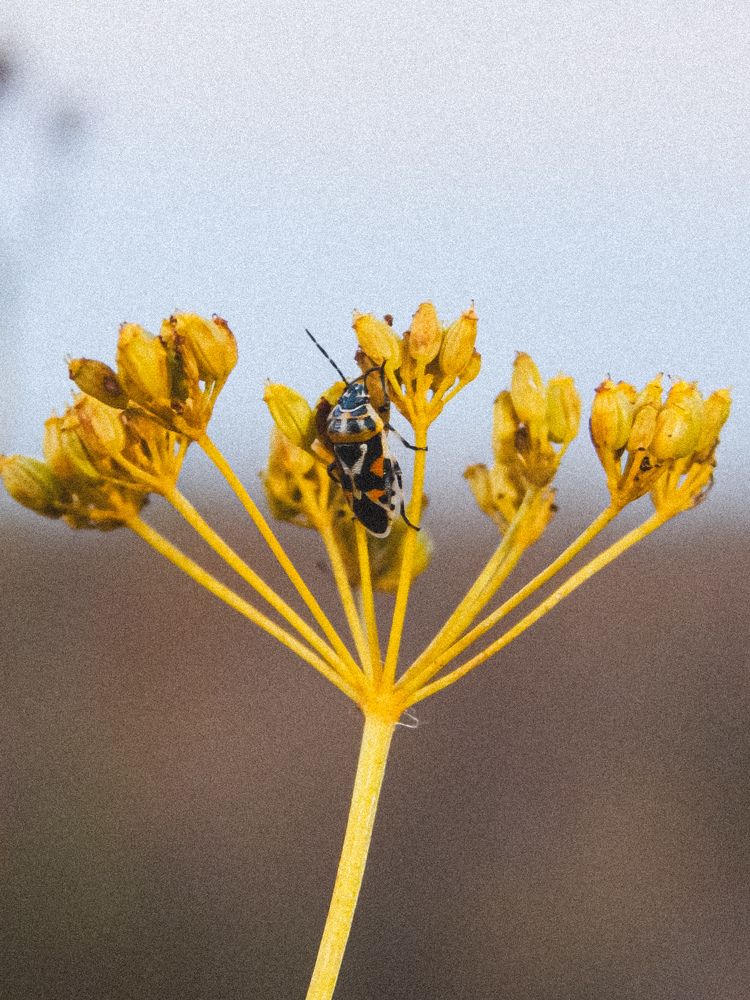 Photograph by Aлександра Чаплыгина