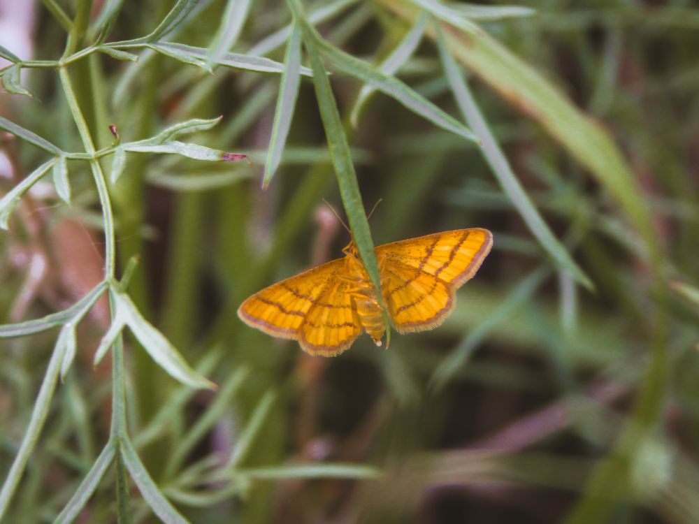 Photograph by Aлександра Чаплыгина