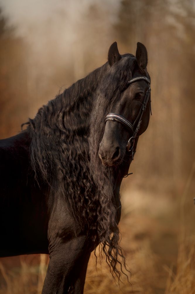 Фотография автора Онучина Юлия