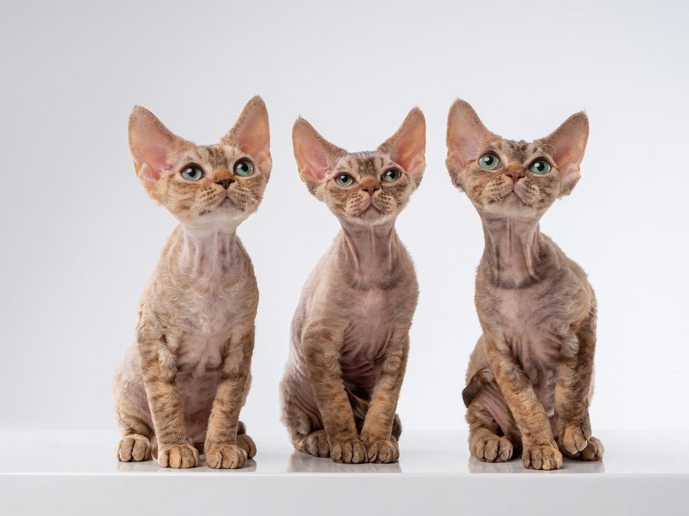 Photograph by Светлана Медведева