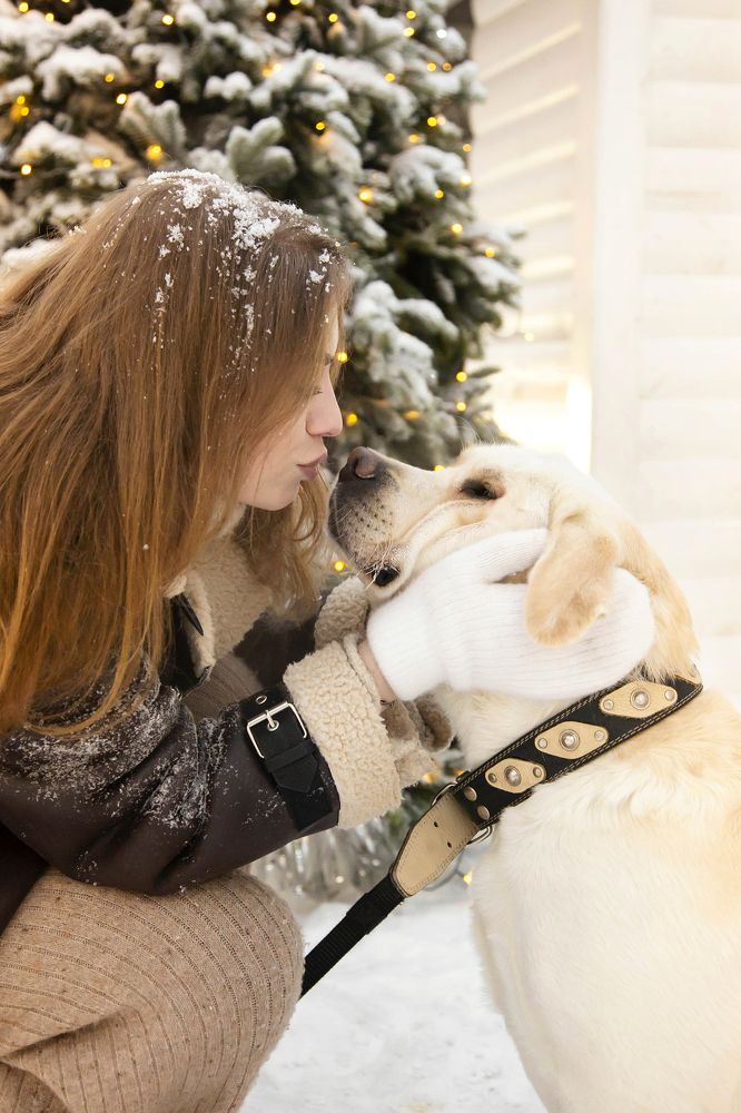 Photograph by Анна Руан