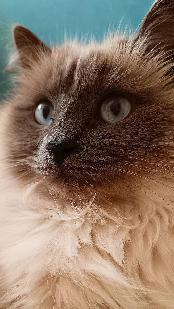 Photograph by Наталья Шумилова