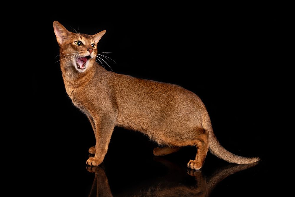 Photograph by Светлана Медведева