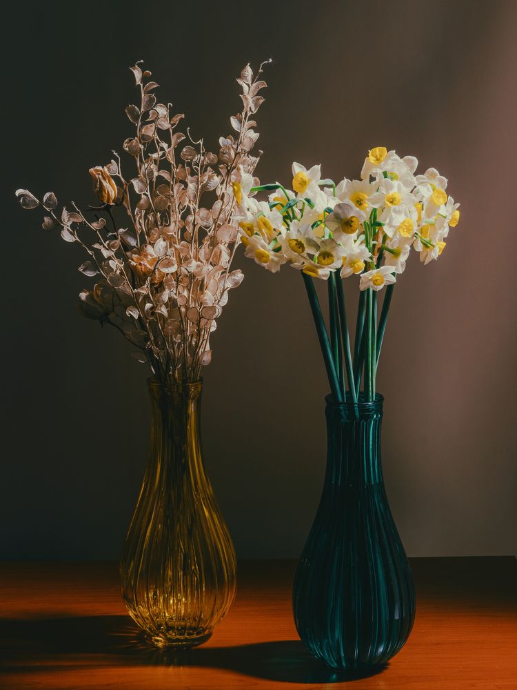 Photograph by Yasin Fotohi