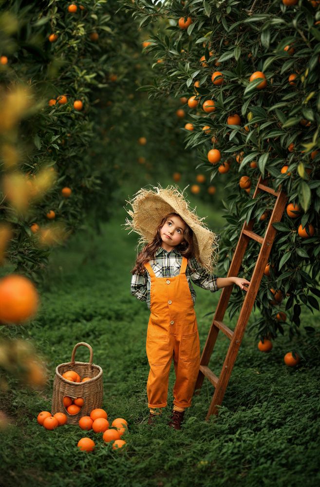 Photograph by Анастасия