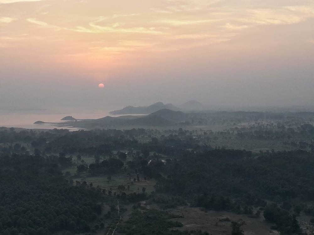 Photo #11665266