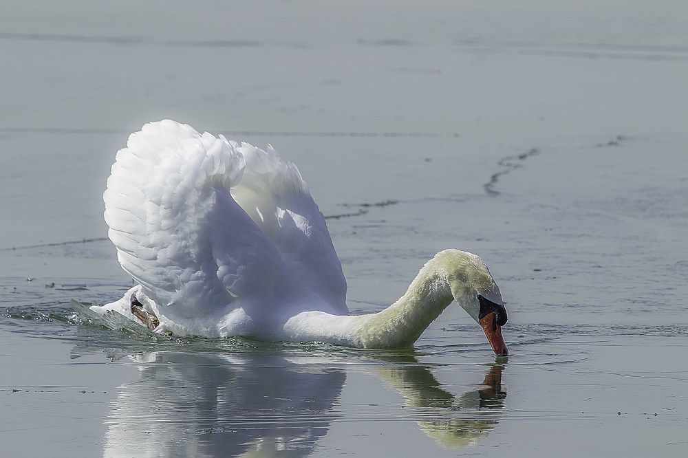 Photograph by ALI Pashang