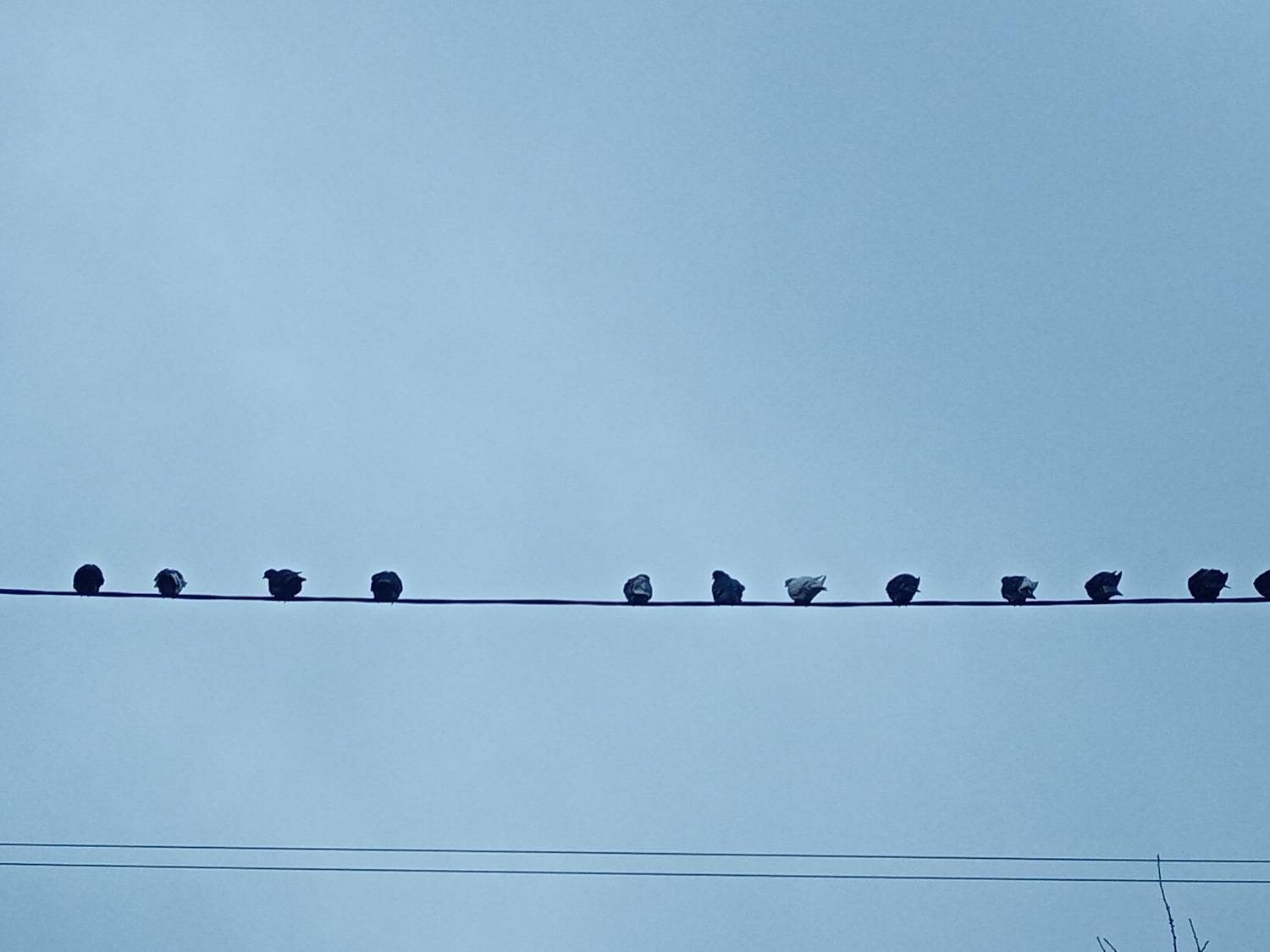 Photo #11665296