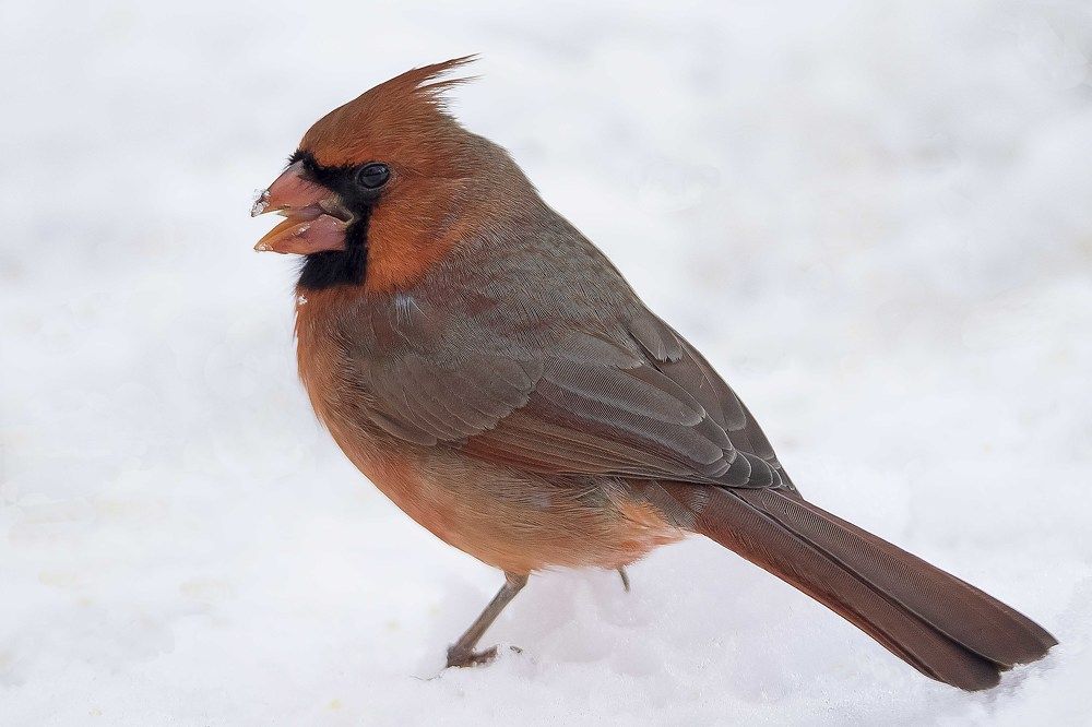 Photograph by ALI Pashang