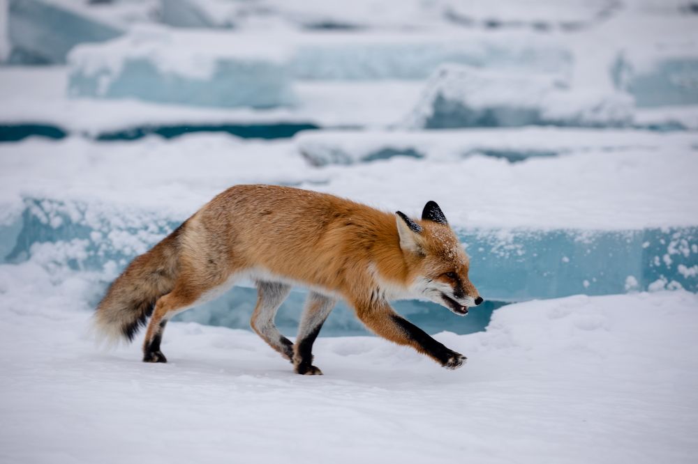 Photograph by Boris Konovalov