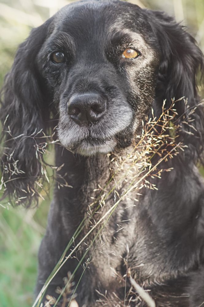Кузенька. Моя душа, моя любовь.