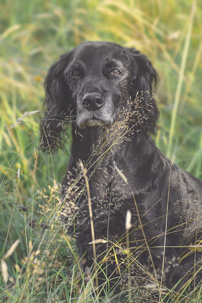 Кузенька. Моя душа, моя любовь.
