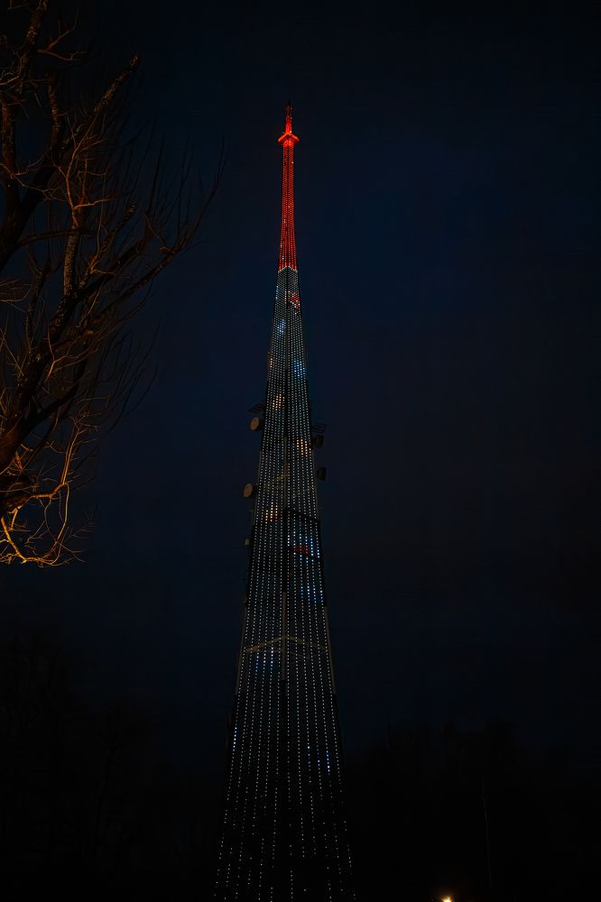 Фотография автора Алина Руденко