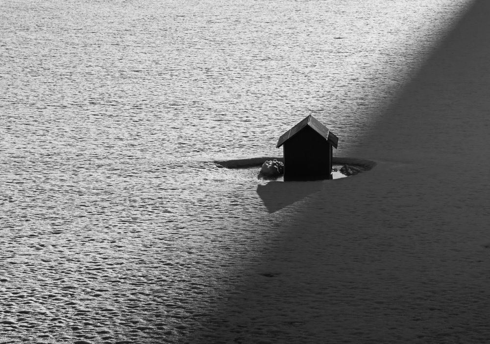 Photograph by Сергей Маслов