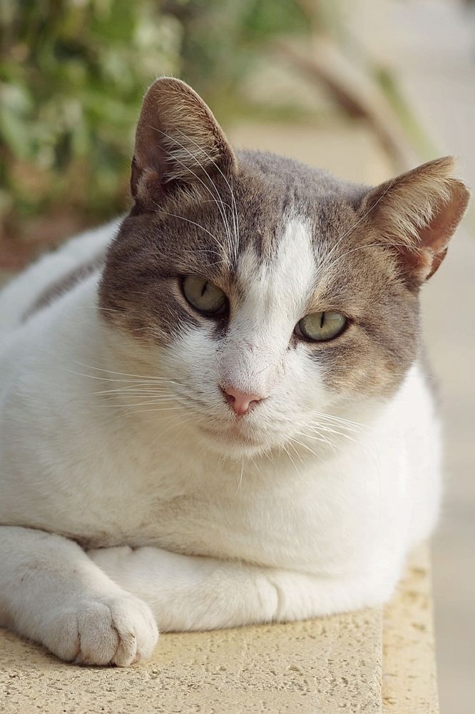 Photograph by Наталья Шумилова